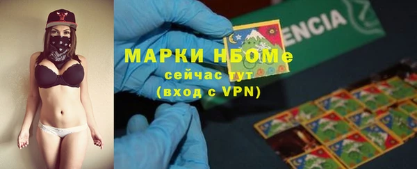 стаф Вяземский