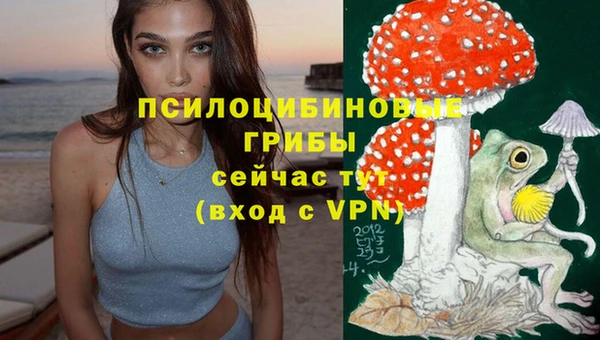 эйфоретик Вязьма