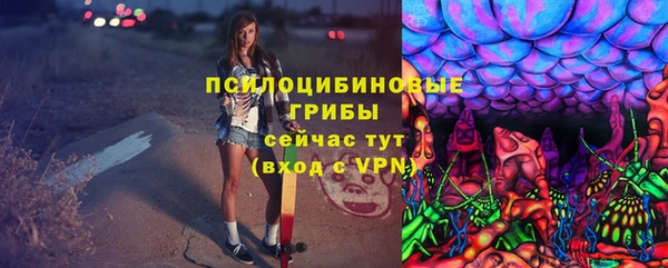 крисы Тында