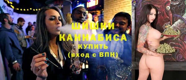 стаф Вяземский