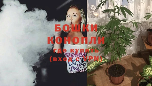 эйфоретик Вязьма